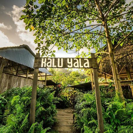 The Jungle Lodge At Kalu Yala Panama City Exterior photo